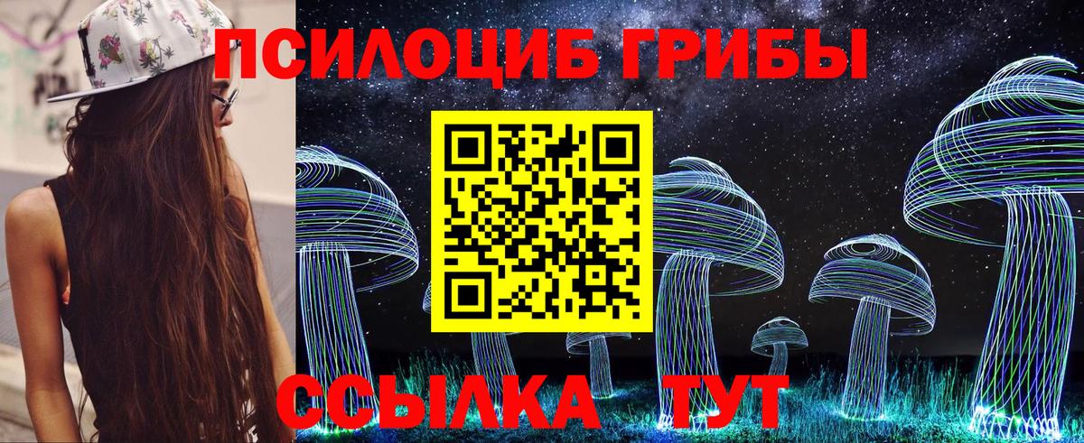 закладка  Галлюциногенные грибы GOLDEN TEACHER  Вход с VPN  Псилоцибиновые грибы мицелий  Красноармейск 